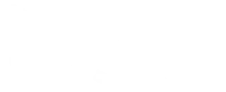 FS